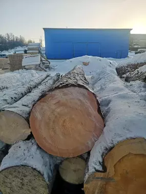 Фотогалерея